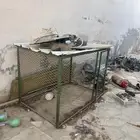 للبيع شبك دجاج او حمام