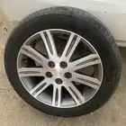 جنوط افالون