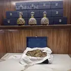 تم البيع .العود الطبيعي سيلاني غابات ادمز قديم جدا