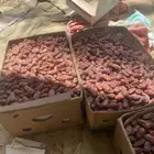 تمر صافي