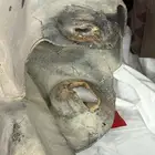 كمر ايدو شانجان 2022