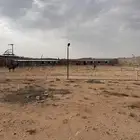 إسطبل للإيجار