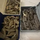 عود مروكي اصقون وكيلو هندي