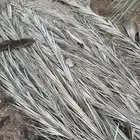 عسبان و سعف