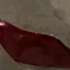 اسطب خلفي افلون