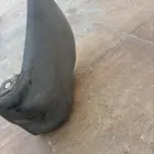 اركان صدام