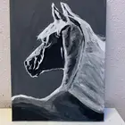 رسمات