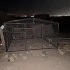شبك غنم