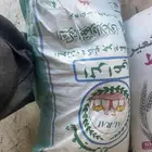 برسيم و شعير مضغوط 40 كيلو