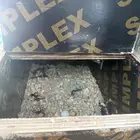 ببغان دره سبق لهم انتاج