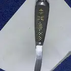 الليث