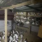 للبيع حمام زينه انتاج