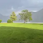 مطلوب عمل بدون تأمينات