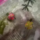 سلاحف للبيع