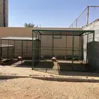 شبك   قفص   للبيع نظيف