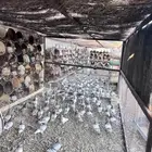 حمام فرنسي