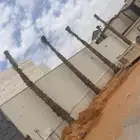 نخيل واشنطن للبيع بجميع انواع المقاسات لتواصل