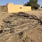 جريد نخل للبيع