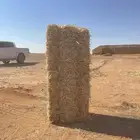 تبن قمح شد شركة