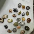 احجار سليمانيه