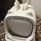مستلزمات القطط