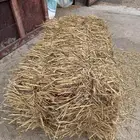 تبن بر طيب الطول 90