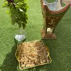 لبان عرض يوم الاربعاء