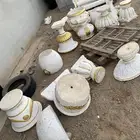 جبسيات لا البيع