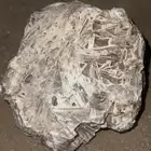 حجر