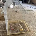 قفص عصافير كبير مع أغلبية الديكورات