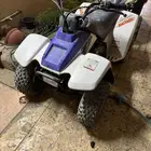 دباب ياماها