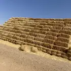 تبن قمح جديد