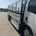 دينا مشاوير