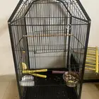 قفص كبير متنقل