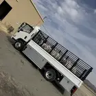 دينا مشاوير موديل 2025