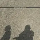 لجميع انواع لبطحاء معلم ابو طيب