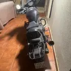 rebel 1100