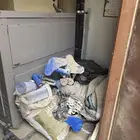 مسبح