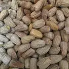 تمر بديره حبه كبيره