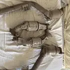 دبات تلوث وكت باك وكاله ستينجر