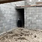 معزا للبيع