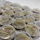 عسل قرض اصلي