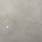 ابحث عن غرفه او غرفتين في حي الهجره او العزيزيه او ملحق