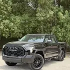 تندرا لميتد 2024
