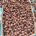 خلاص وادي حبه وسط وبعضه له قشر نفس اللي بالصوره
