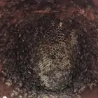 نحل خلايا محايلي الموقع ثقيف