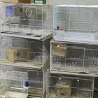 قفاصة 601 نظاف بجميع اغرضهم