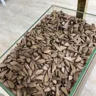 عود مروكي 178 S سعر الكيلو 900 ريال