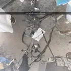 كماليات أوريون 2010