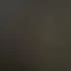 باب اكورد كبوت اكورد للبيع